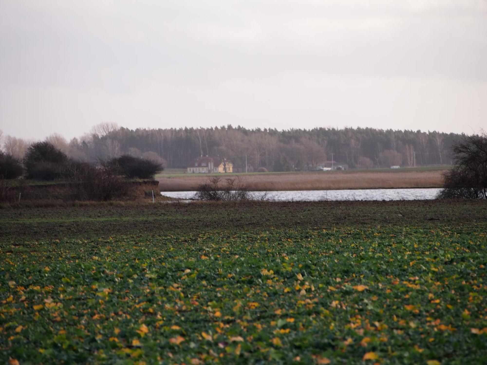 Ferienhaus Gut Rattelvitz Insel Ruegen Gingst Eksteriør billede